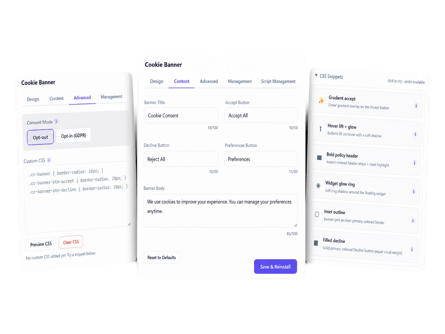 Content editing &mdash; banner title, button labels, body copy. Custom CSS textarea + snippet library.